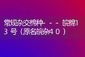 常规杂交棉种---皖棉13号(原名皖杂40)