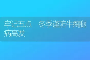 牢记五点 冬季谨防牛瘸腿病高发