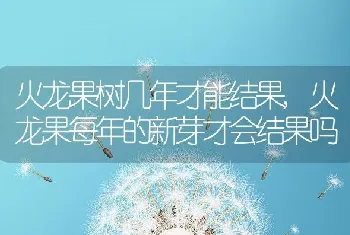 火龙果树几年才能结果