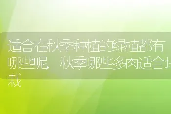 适合在秋季种植的绿植都有哪些呢