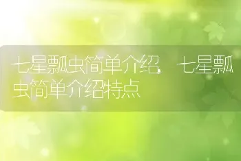 七星瓢虫简单介绍,七星瓢虫简单介绍特点