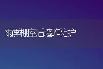 雨季棚室后墙咋防护