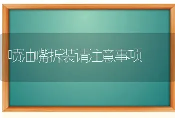 喷油嘴拆装请注意事项