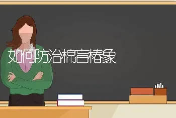 如何防治棉盲椿象