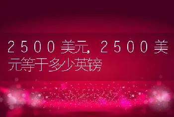 2500美元