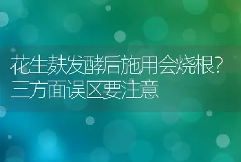 花生麸发酵后施用会烧根?三方面误区要注意