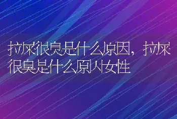 拉屎很臭是什么原因