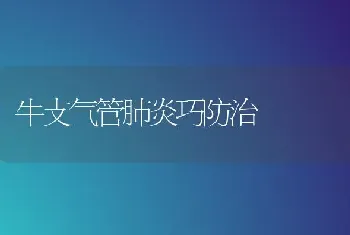 牛支气管肺炎巧防治