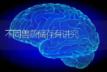 不同兽药储存有讲究