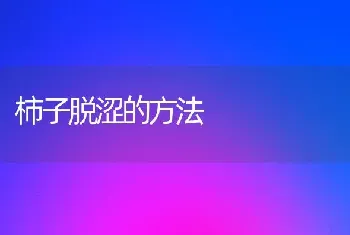 柿子脱涩的方法