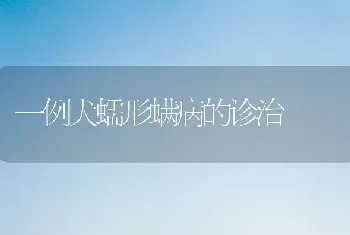 一例犬蠕形螨病的诊治