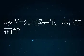 乌龟通人性吗