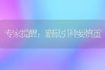 专家提醒：麝鼠引种要慎重