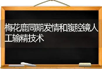 梅花鹿同期发情和腹腔镜人工输精技术