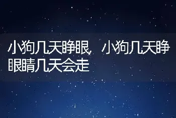 小狗几天睁眼