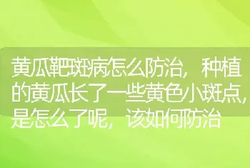 黄瓜靶斑病怎么防治