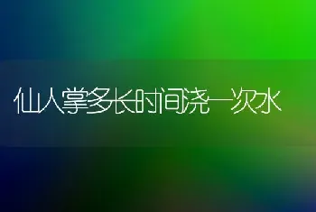 仙人掌多长时间浇一次水