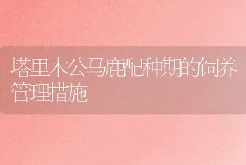 塔里木公马鹿配种期的饲养管理措施