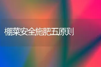 奶牛难产的助产处理