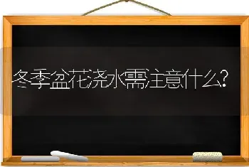 冬季盆花浇水需注意什么?