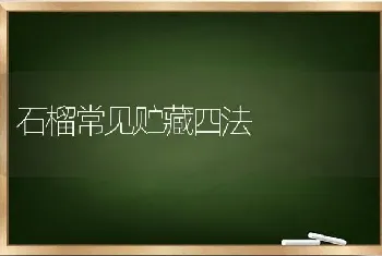 石榴常见贮藏四法