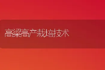 高粱高产栽培技术