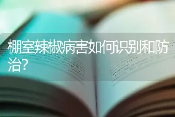 棚室辣椒病害如何识别和防治?