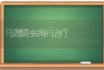 马混睛虫病的治疗