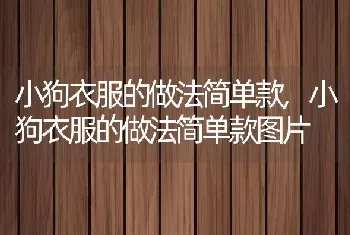 小狗衣服的做法简单款,小狗衣服的做法简单款图片