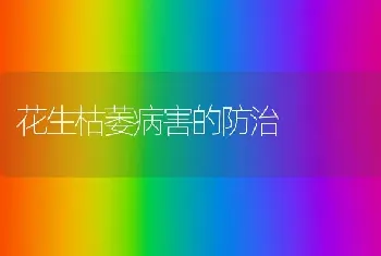 花生枯萎病害的防治