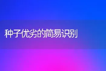 种子优劣的简易识别