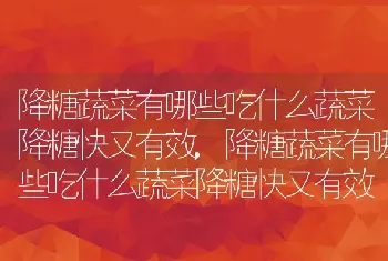 降糖蔬菜有哪些吃什么蔬菜降糖快又有效