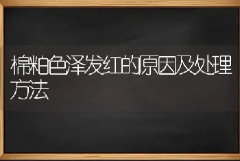 棉粕色泽发红的原因及处理方法