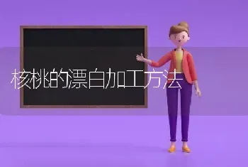 核桃的漂白加工方法