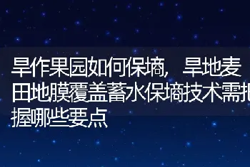 苹果园越冬防寒措施及冻害恢复技术