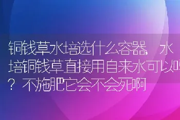 黄金果的高产种植技术