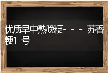 优质早中熟晚粳---苏香粳1号