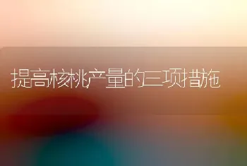 提高核桃产量的三项措施