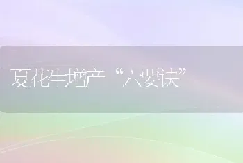 夏花生增产“六要诀”