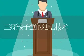 三疣梭子蟹的活运技术