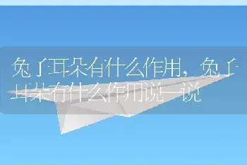 兔子耳朵有什么作用