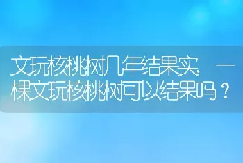 文玩核桃树几年结果实