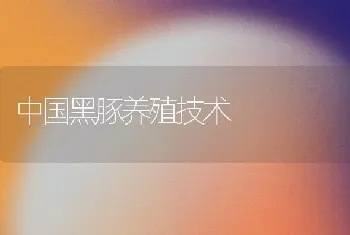 中国黑豚养殖技术