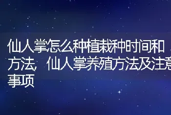 仙人掌怎么种植栽种时间和方法