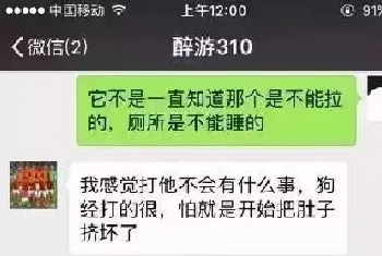 法斗不听话打哪里