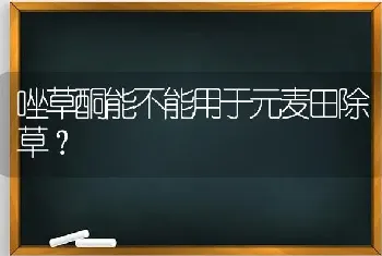 唑草酮能不能用于元麦田除草?