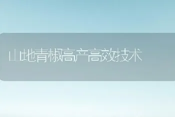 山地青椒高产高效技术