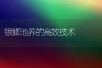 银鲫池养的高效技术