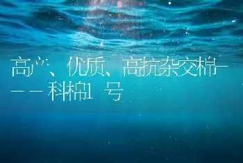 高产、优质、高抗杂交棉---科棉1号