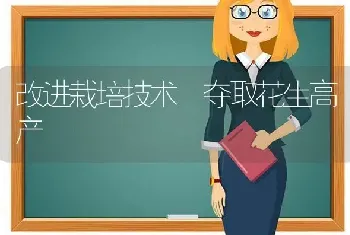 改进栽培技术 夺取花生高产